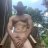 Nakedneighbor