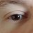 IamTheDan