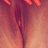 Wetpussy28