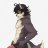 ScruffyScamp