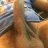 studboyoncam