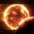 Canismajoris