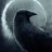 DezzyRavens