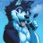 Huskyboystormy