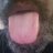 Hornyaf777