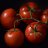 Tomato_