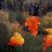 Autumn_Rain