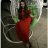 alina_07