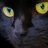 IkoTheBlackCat