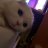 Ashley785