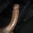 Hbgbbc19