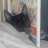 Kittycat4447