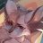 ChillFoxVibes