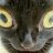 MewMew