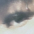 luvchel888