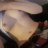 Dayna207
