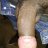 Negrodominicano