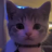 CHUGJUGKITTY