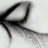 SensualM_