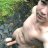 dannylovesrp