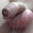 Alberto35