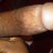 Daggerdick533