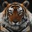 Cuddletigerforever
