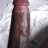 Josh2321