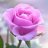 RoseOH