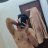 Ontarioguyxx