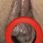 Grosse_chatte