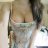 Katie90
