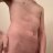 GoldenWolf-