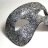 Dacian
