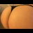 pussyCat_66