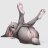 SlimfitBunny