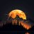 MidnightMoon