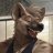 Furr