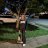 BiCollegeGirl19