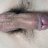 nark1234