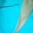 iammichu567