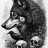 skullsnwolves