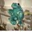 nag_M