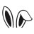 Bunny50