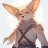 fennec_conquest