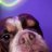vickie_18