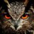 NightOwl41