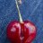 Cherry393