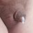 TinydickLee