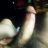 Bobb63